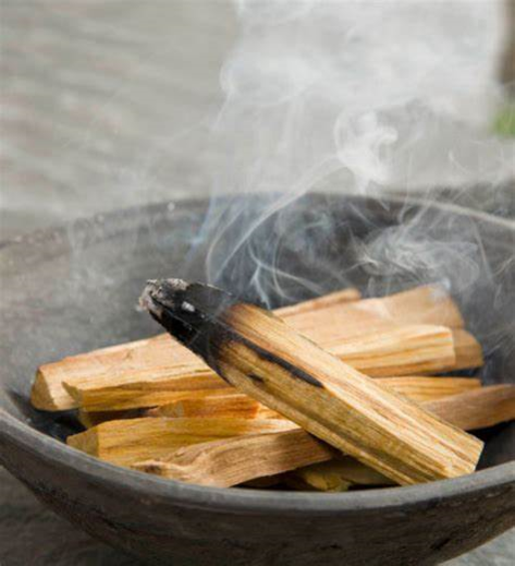 Palo Santo - 3pc Pack