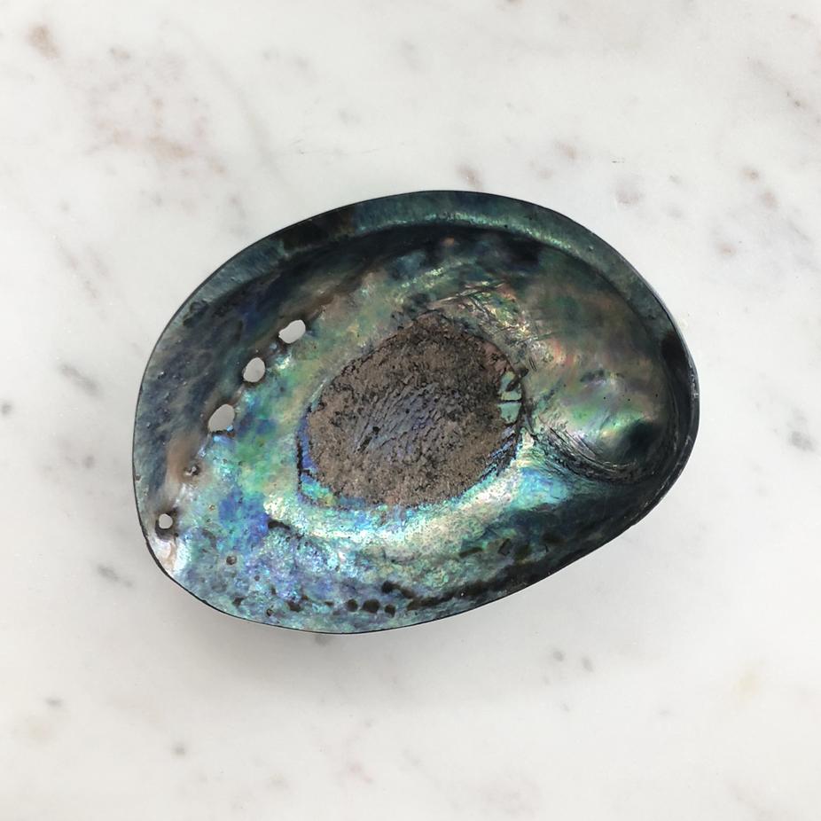 Shell Polished Abalone