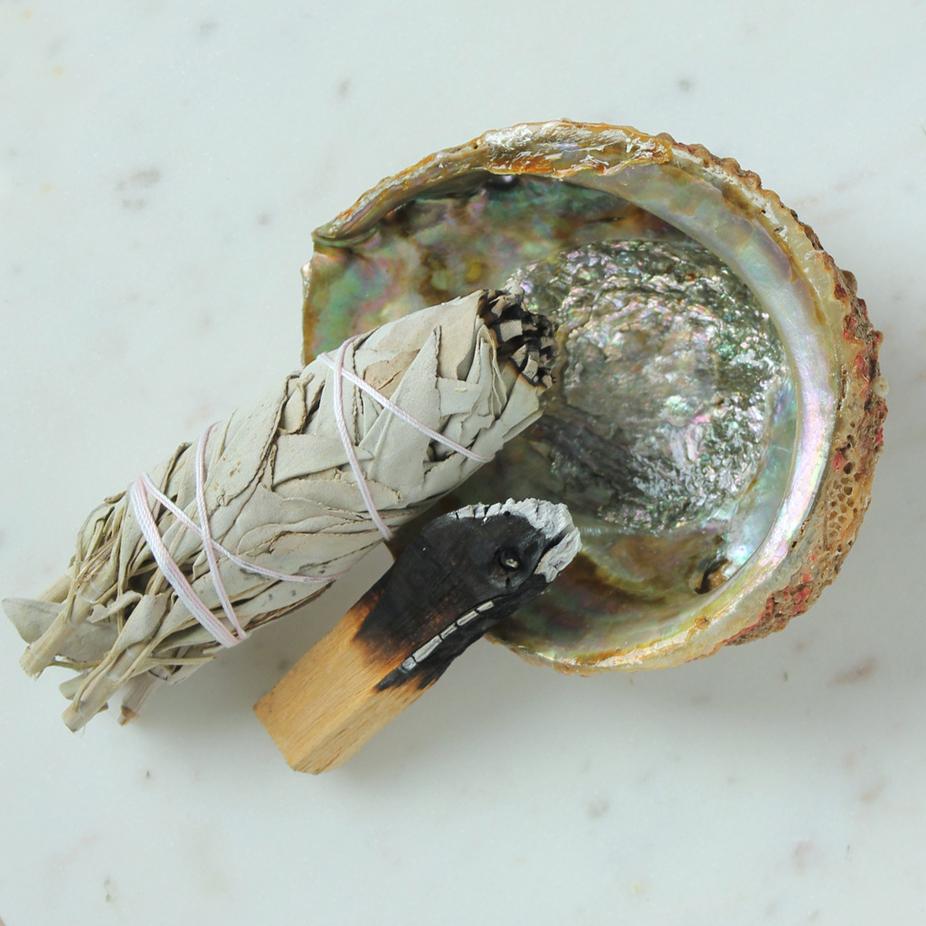 Shell Polished Abalone