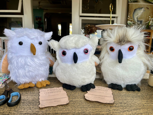 Homemade Owl